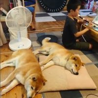 温かな日々を堪能中