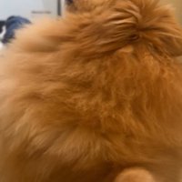 お風呂場の外を見て…