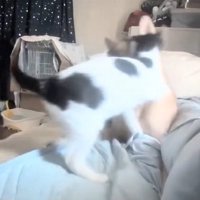 抱きつくパンダちゃん