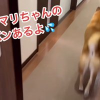 気付かずに出て行ってしまいました！