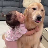 「よく頑張ったね」