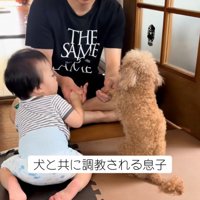 息子さんもお手させるパパ