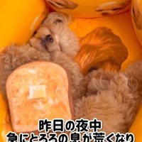 小刻みに震え出した…