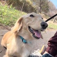 田舎暮らしを満喫中♪