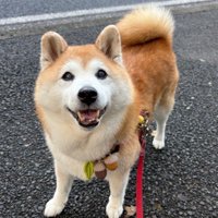 「あとで食べようね」