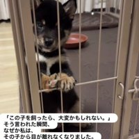 まかおちゃんとの出会い