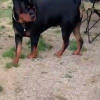 「こわ！！」