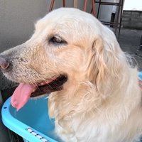 「気持ち良い～♪」