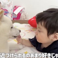 舌をちょん