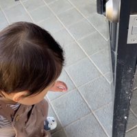 無事にお家に到着！