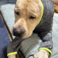 何とも