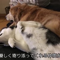 誰かと共に寝る安心感も…