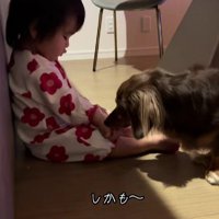 「ハイ、どうぞ」