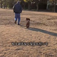 もう会えなくなるなんて…