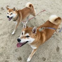 笑顔が可愛い♡