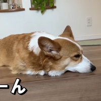 切ない表情から愛が伝わる…