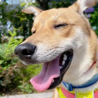 風ちゃんとの出会い5