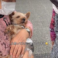 心地よくてスヤスヤ
