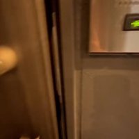 ドアを開ける飼い主さん