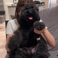 2匹とも笑顔がたえない