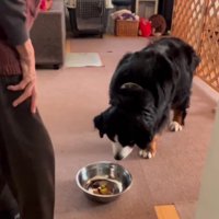 おばあちゃんの愛が伝わる…