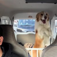 ジャンプが止まらない！