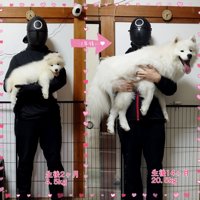 成長