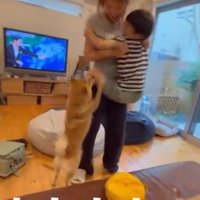立つ犬