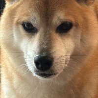 嫌すぎて感情を失った…！？