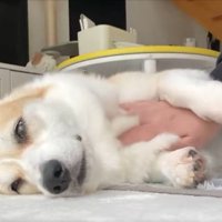 目を細める