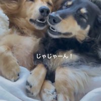 表情を見てみると…？