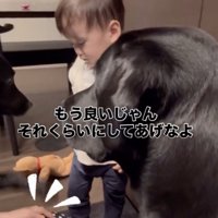 どん兵衛くん、ママの手をトントン