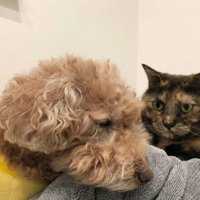 寝ている姿をガン見