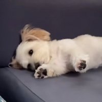 「とりあえず二度寝しよ…」