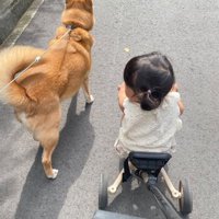 キュウリちょうだい？