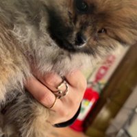 心配そうな顔で待機