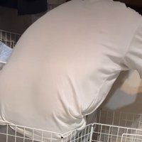 パパがいたのは…