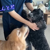 何度も抱きつくルーク君
