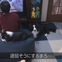 パパさんはゲームに夢中