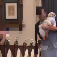 まさかの抱っこスタイル