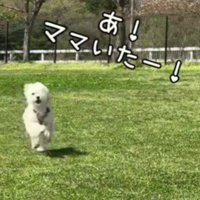 「ママ、いた～！！」