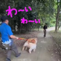男性の方へ駆け出す兄犬
