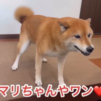 ロックくんは大喜び！