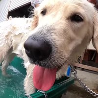 さっぱりして気持ちいい♡