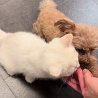 ちゃっかり猫さんも♪