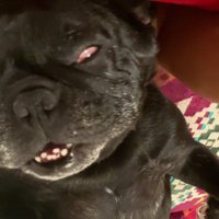 白目をむいて寝ることも！！