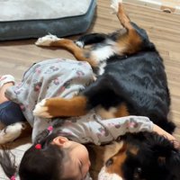 寄り添うベルちゃん