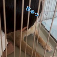 おふとん君と男の子