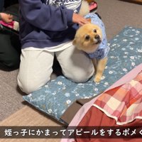 子どもたちに「構って」とアピール