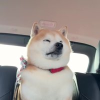 「家に帰ってるんだ…」